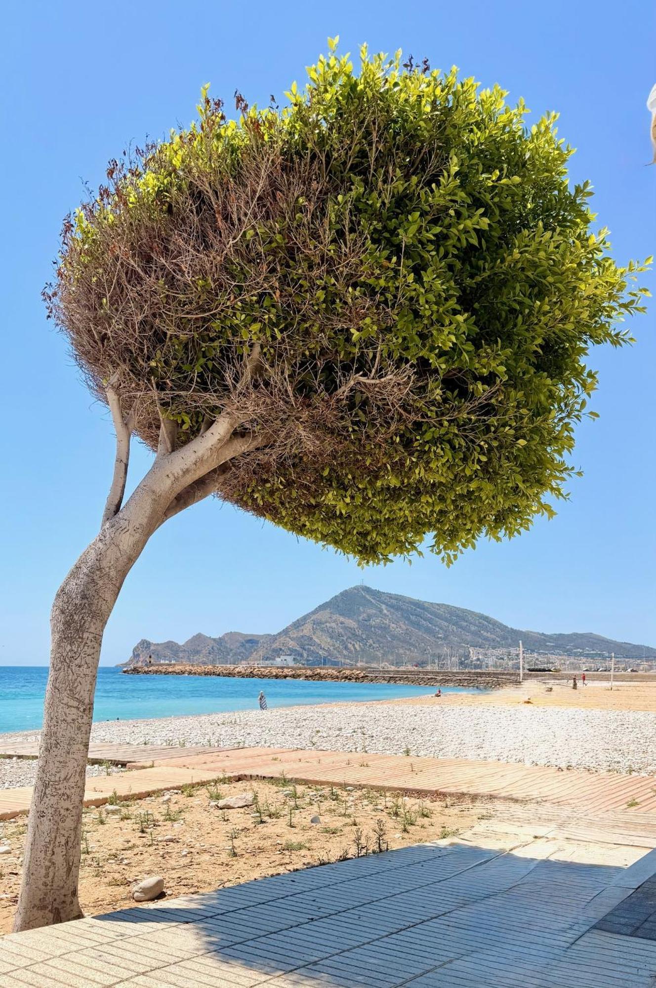 Appartamento New Calm & Charming Loft Altea Esterno foto